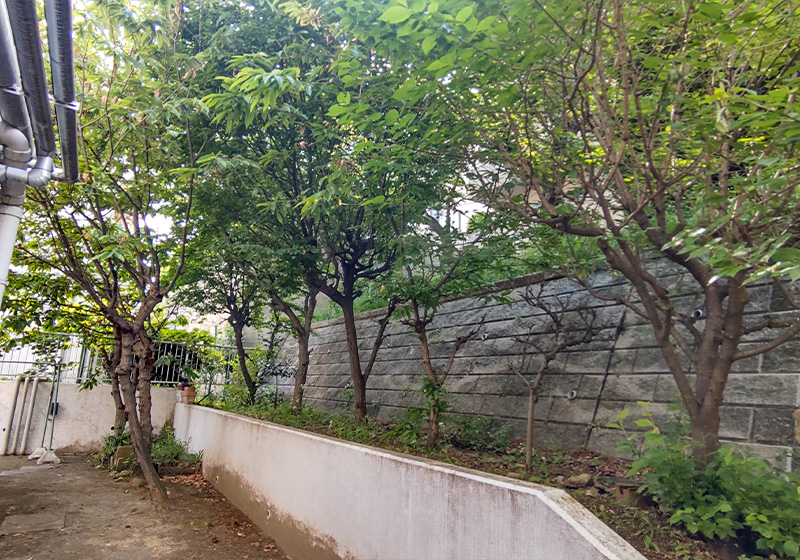 施設のそばの緑とアプローチ（横浜市青葉区）